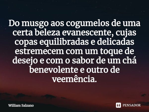 ⁠Do musgo aos cogumelos de uma certa beleza evanescente, cujas copas equilibradas e delicadas estremecem com um toque de desejo e com o sabor de um chá benevole... Frase de William Salzano.
