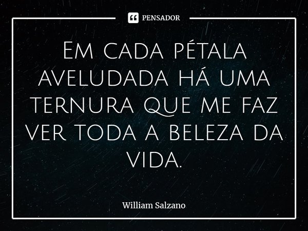 ⁠Em cada pétala aveludada há uma ternura que me faz ver toda a beleza da vida.... Frase de William Salzano.