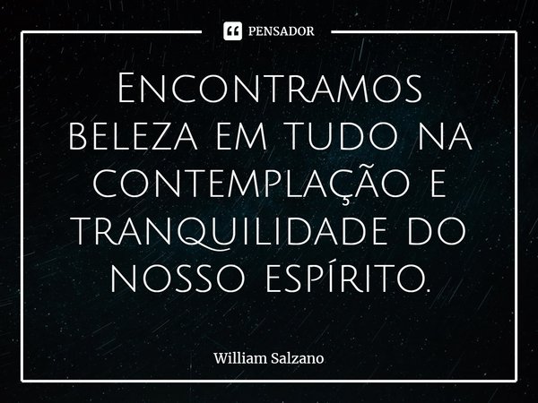 ⁠Encontramos beleza em tudo na contemplação e tranquilidade do nosso espírito.... Frase de William Salzano.