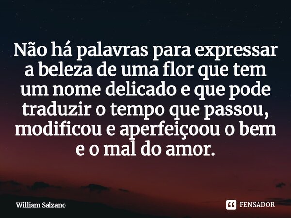 ⁠Não há palavras para expressar a beleza de uma flor que tem um nome delicado e que pode traduzir o tempo que passou, modificou e aperfeiçoou o bem e o mal do a... Frase de William Salzano.