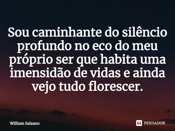 ⁠Sou caminhante do silêncio profundo no eco do meu próprio ser que habita uma imensidão de vidas e ainda vejo tudo florescer.... Frase de William Salzano.