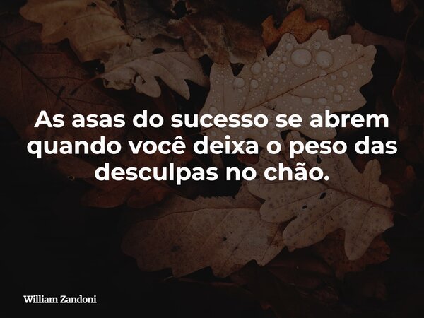 As asas do sucesso se abrem quando você deixa o peso das desculpas no chão.... Frase de William Zandoni.