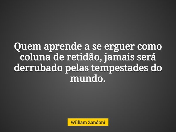 Quem aprende a se erguer como coluna de retidão, jamais será derrubado pelas tempestades do mundo.... Frase de William Zandoni.