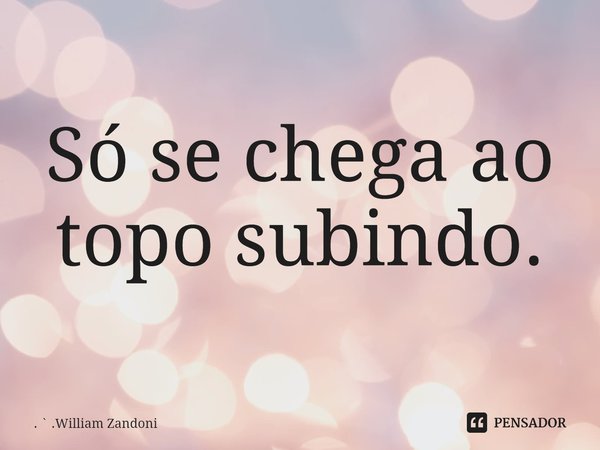 ⁠Só se chega ao topo subindo.... Frase de .William Zandoni.