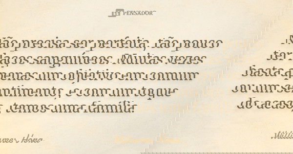 Não precisa ser perfeita, tão pouco ter laços sanguíneos. Muitas vezes basta apenas um objetivo em comum ou um sentimento, e com um toque do acaso, temos uma fa... Frase de Williames Hora.