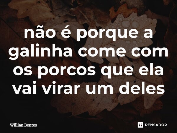 ⁠não é porque a galinha come com os porcos que ela vai virar um deles... Frase de Willian Bentes.