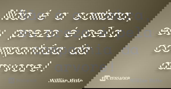 Não é a sombra, eu prezo é pela companhia da arvore!... Frase de Willian Brito.