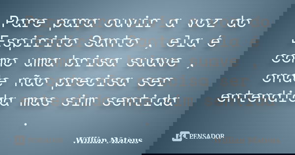 Pare para ouvir a voz do Espirito Santo , ela é como uma brisa suave , onde não precisa ser entendida mas sim sentida .... Frase de Willian Mateus.