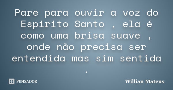 Pare para ouvir a voz do Espirito Santo , ela é como uma brisa suave , onde não precisa ser entendida mas sim sentida .... Frase de Willian Mateus.