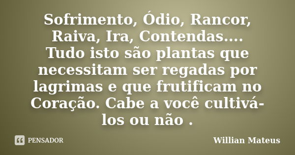 Sofrimento, Ódio, Rancor, Raiva, Ira, Contendas.... Tudo isto são plantas que necessitam ser regadas por lagrimas e que frutificam no Coração. Cabe a você culti... Frase de Willian Mateus.