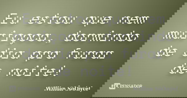 Eu estou que nem muriçoca, dormindo de dia pra furar de noite!... Frase de Willian SôÔnýel.