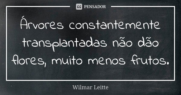 Árvores constantemente transplantadas não dão flores, muito menos frutos.... Frase de Wilmar Leitte.