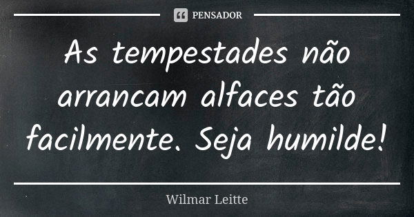 As tempestades não arrancam alfaces tão facilmente. Seja humilde!... Frase de Wilmar Leitte.