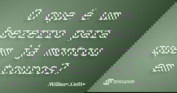O que é um bezerro para quem já montou em touros?... Frase de Wilmar Leitte.