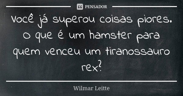 Você já superou coisas piores. O que é um hamster para quem venceu um tiranossauro rex?... Frase de Wilmar Leitte.