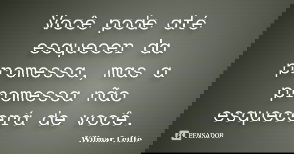 Você pode até esquecer da promessa, mas a promessa não esquecerá de você.... Frase de Wilmar Leitte.