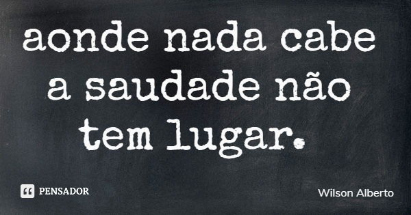 aonde nada cabe a saudade não tem lugar.... Frase de Wilson Alberto.