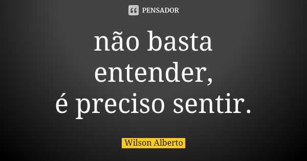 não basta entender, é preciso sentir.... Frase de Wilson Alberto.