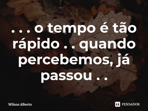 ⁠. . . o tempo é tão rápido . . quando percebemos, já passou . .... Frase de Wilson Alberto.