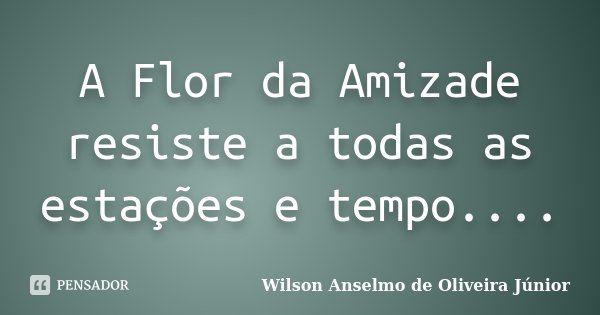 A Flor da Amizade resiste a todas as estações e tempo....... Frase de Wilson Anselmo de Oliveira Junior.