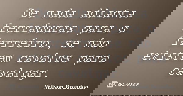 De nada adianta ferraduras para o ferreiro, se não existem cavalos para cavalgar.... Frase de Wilson Brandao.