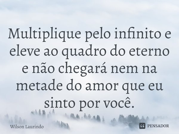 ⁠Multiplique pelo infinito e eleve ao quadro do eterno e não chegará nem na metade do amor que eu sinto por você.... Frase de wilson laurindo.