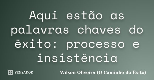 Aqui estão as palavras chaves do êxito: processo e insistência... Frase de Wilson Oliveira (O Caminho do Êxito).