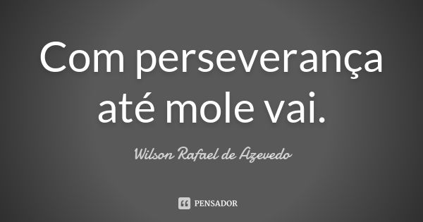 Com perseverança até mole vai.... Frase de Wilson Rafael de Azevedo.