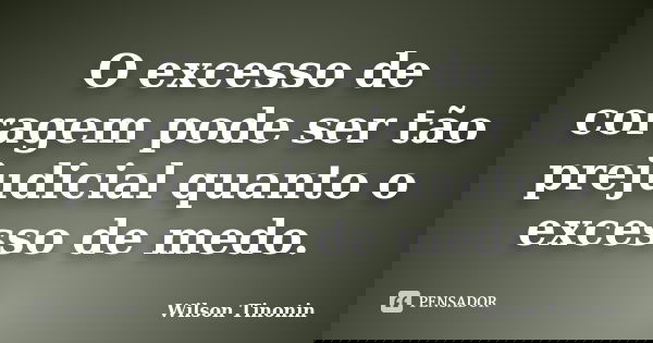 O excesso de coragem pode ser tão prejudicial quanto o excesso de medo.... Frase de Wilson Tinonin.
