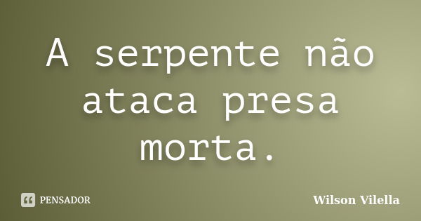 A serpente não ataca presa morta.... Frase de Wilson Vilella.