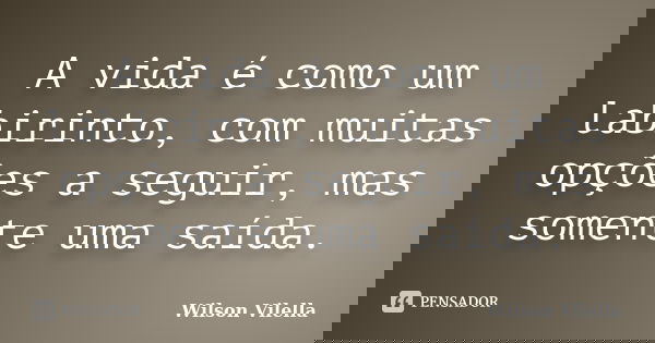 A vida é como um labirinto, com muitas opções a seguir, mas somente uma saída.... Frase de Wilson Vilella.