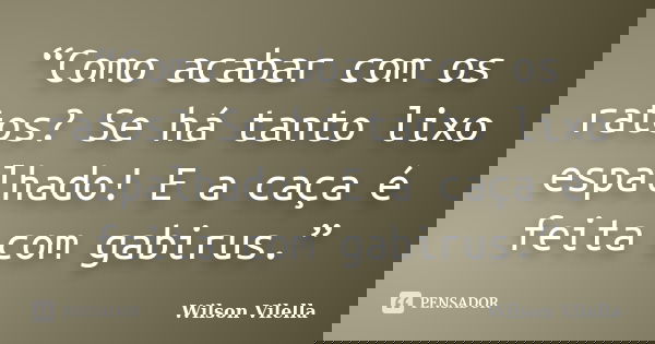 “Como acabar com os ratos? Se há tanto lixo espalhado! E a caça é feita com gabirus.”... Frase de Wilson Vilella.