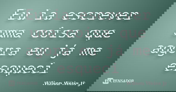 Eu ia escrever uma coisa que agora eu já me esqueci... Frase de Wilson Weiss Jr.
