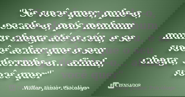 "Se você quer, pule-o, escale-o, pois nenhum muro chega até o céu, e se você achar que o seu chega, derrube-o... afinal, você quer"... Frase de Wilton Júnior Psicólogo.