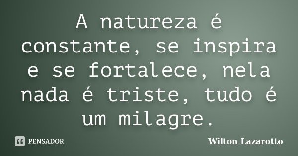 A natureza é constante, se inspira e se fortalece, nela nada é triste, tudo é um milagre.... Frase de Wilton Lazarotto.