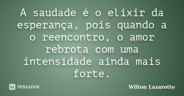 A saudade é o elixir da esperança, pois quando a o reencontro, o amor rebrota com uma intensidade ainda mais forte.... Frase de Wilton Lazarotto.