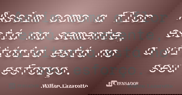 Assim como a flor está na semente, a vitória está no seu esforço.... Frase de Wilton Lazarotto.