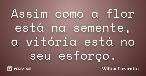 Assim como a flor está na semente, a vitória está no seu esforço.... Frase de Wilton Lazarotto.