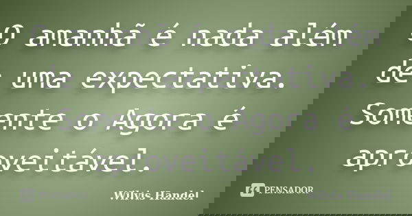 O amanhã é nada além de uma expectativa. Somente o Agora é aproveitável.... Frase de Wilvis Handel.