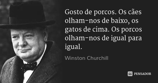 Gosto de porcos. Os cães olham-nos de baixo, os gatos de cima. Os porcos olham-nos de igual para igual.... Frase de Winston Churchill.