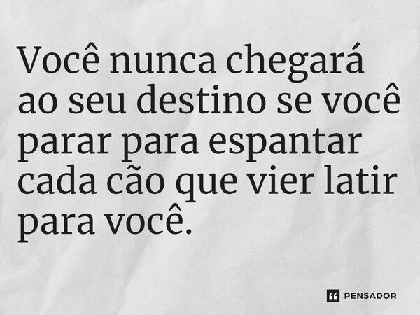 Você nunca chegará ao seu destino se você parar para espantar cada cão que vier latir para você.