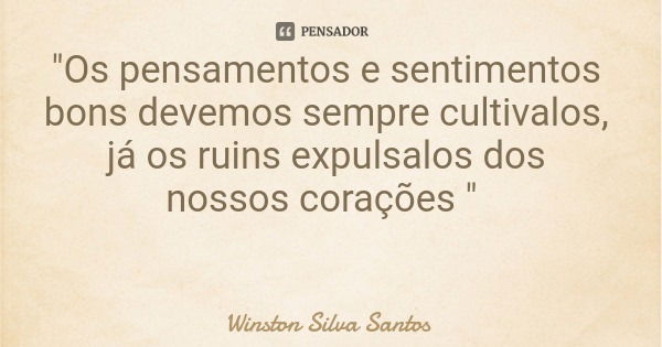 "Os pensamentos e sentimentos bons devemos sempre cultivalos, já os ruins expulsalos dos nossos corações "... Frase de Winston Silva Santos.