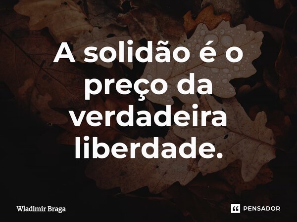 ⁠A solidão é o preço da verdadeira liberdade.... Frase de Wladimir Braga.