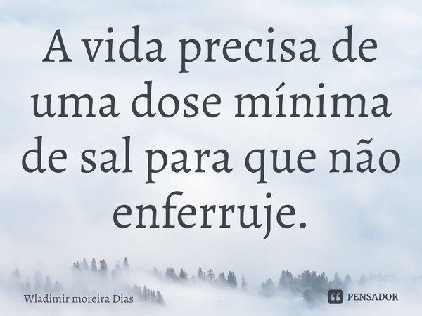 ⁠A vida precisa de uma dose mínima de sal para que não enferruje.... Frase de Wladimir moreira Dias.