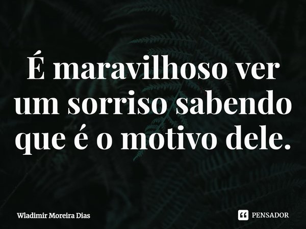 É maravilhoso ver um sorriso sabendo que é o motivo dele.... Frase de Wladimir moreira Dias.