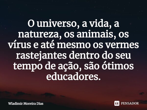 ⁠O universo, a vida, a natureza, os animais, os vírus e até mesmo os vermes rastejantes dentro do seu tempo de ação, são ótimos educadores.... Frase de Wladimir moreira Dias.
