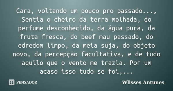 Cara, voltando um pouco pro passado..., Sentia o cheiro da terra molhada, do perfume desconhecido, da água pura, da fruta fresca, do beef mau passado, do edredo... Frase de Wlisses Antunes.