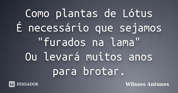 Como plantas de Lótus É necessário que sejamos "furados na lama" Ou levará muitos anos para brotar.... Frase de Wlisses Antunes.