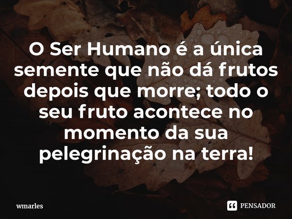 ⁠O Ser Humano é a única semente que não dá frutos depois que morre; todo o seu fruto acontece no momento da sua peregrinação na terra!... Frase de wmarles.