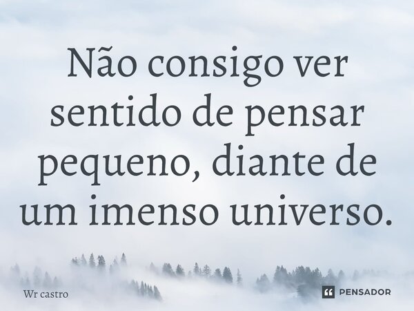 ⁠Não consigo ver sentido de pensar pequeno, diante de um imenso universo.⁠... Frase de Wr castro.